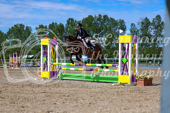 01815 - Shea - 2026 June Classic II - Wednesday June 17th