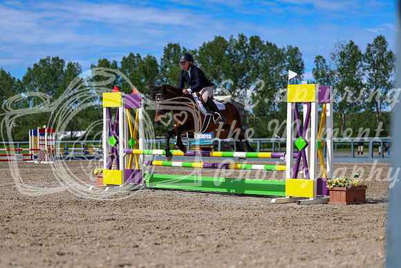 01816 - Shea - 2026 June Classic II - Wednesday June 17th