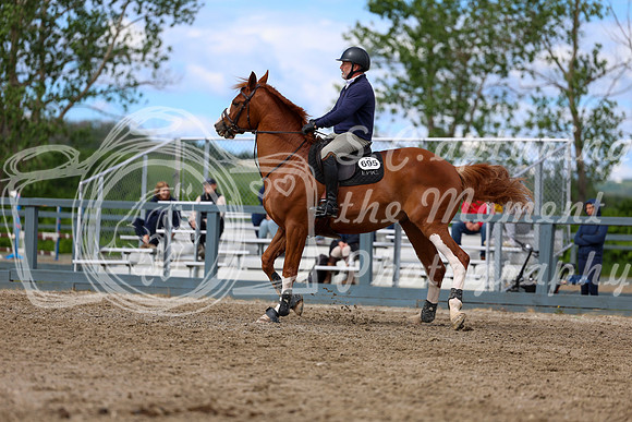 02116 - Shea - 2026 June Classic II - Wednesday June 17th