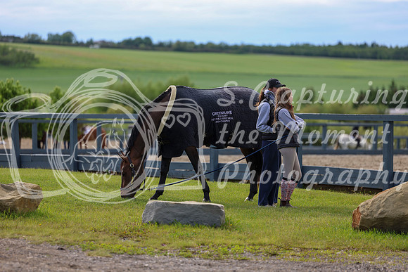 01228 - Shea - 2026 June Classic II - Wednesday June 17th