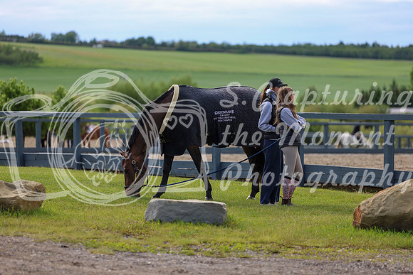 01231 - Shea - 2026 June Classic II - Wednesday June 17th