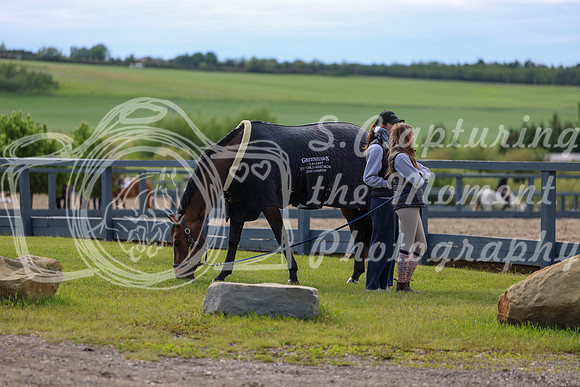 01230 - Shea - 2026 June Classic II - Wednesday June 17th