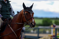 01239 - Shea - 2026 June Classic II - Wednesday June 17th