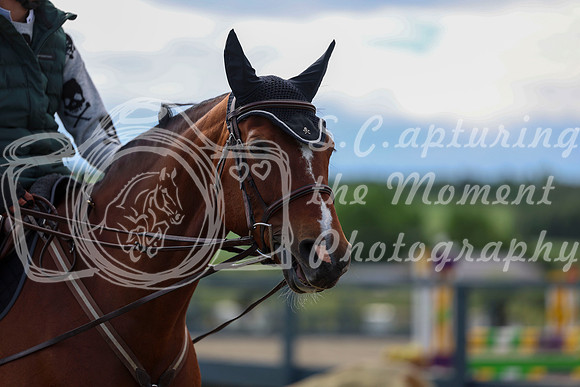 01241 - Shea - 2026 June Classic II - Wednesday June 17th