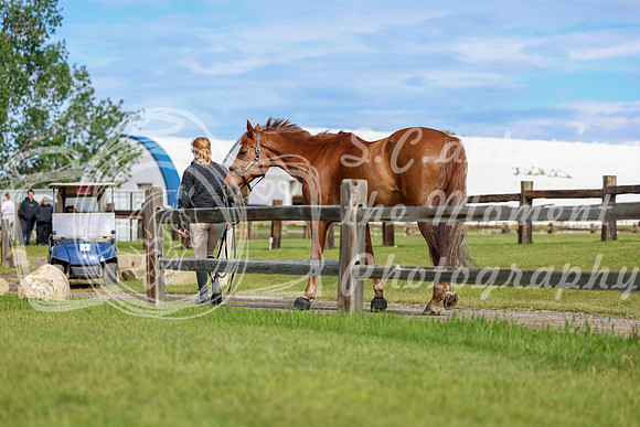 01467 - Shea - 2026 June Classic II - Wednesday June 17th