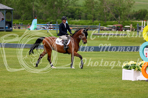03484 - Shea - 2026 June Classic II - Wednesday June 17th