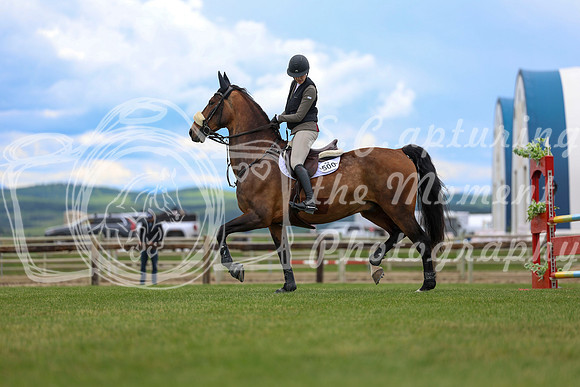 06984 - Shea - 2026 June Classic II - Wednesday June 17th