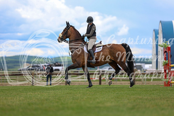 06985 - Shea - 2026 June Classic II - Wednesday June 17th