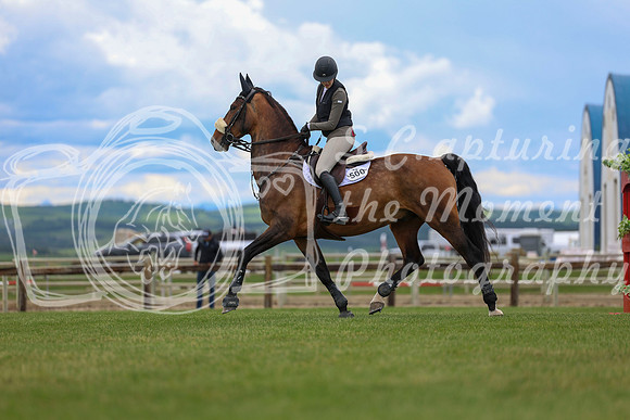 06987 - Shea - 2026 June Classic II - Wednesday June 17th