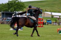 03835 - Shea - 2026 June Classic II - Wednesday June 17th