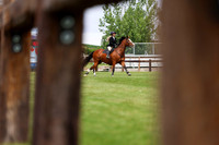05223 - Shea - 2026 June Classic II - Wednesday June 17th