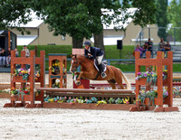 Pony Hunter