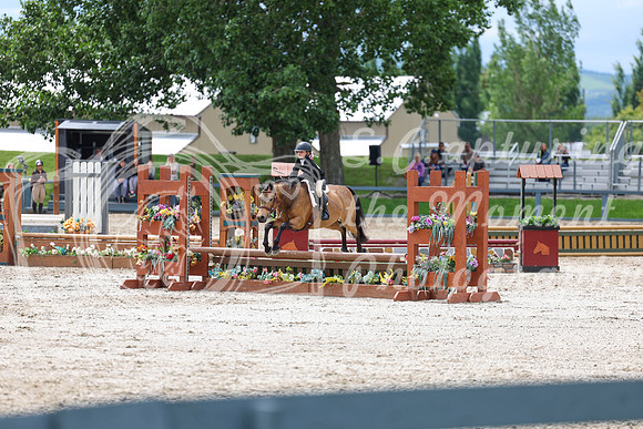 04228 - Shea - 2026 June Classic II - Thursday June 18th
