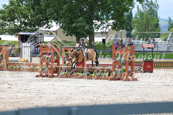 04229 - Shea - 2026 June Classic II - Thursday June 18th