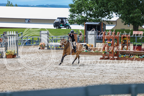 04231 - Shea - 2026 June Classic II - Thursday June 18th