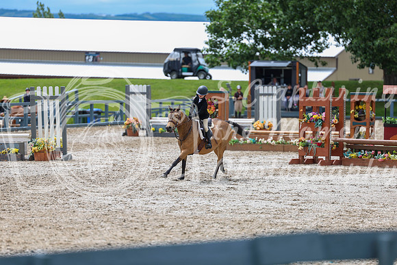 04233 - Shea - 2026 June Classic II - Thursday June 18th