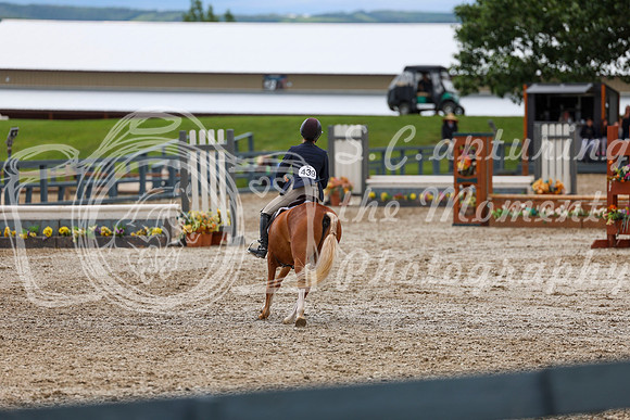04164 - Shea - 2026 June Classic II - Thursday June 18th