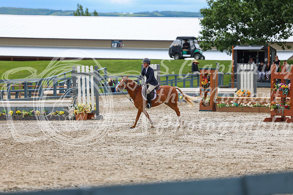 04179 - Shea - 2026 June Classic II - Thursday June 18th