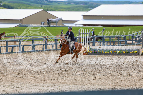 04180 - Shea - 2026 June Classic II - Thursday June 18th
