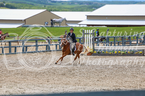 04181 - Shea - 2026 June Classic II - Thursday June 18th