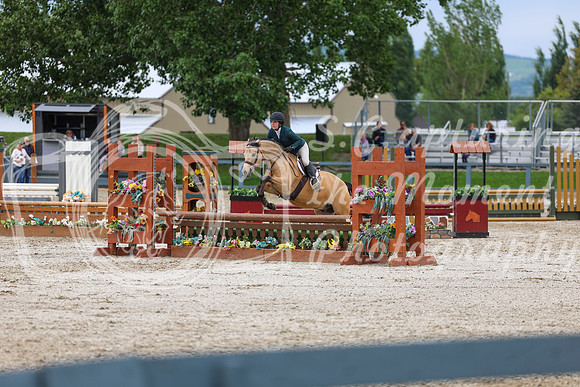 04461 - Shea - 2026 June Classic II - Thursday June 18th
