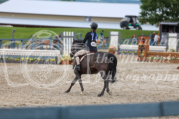 04481 - Shea - 2026 June Classic II - Thursday June 18th