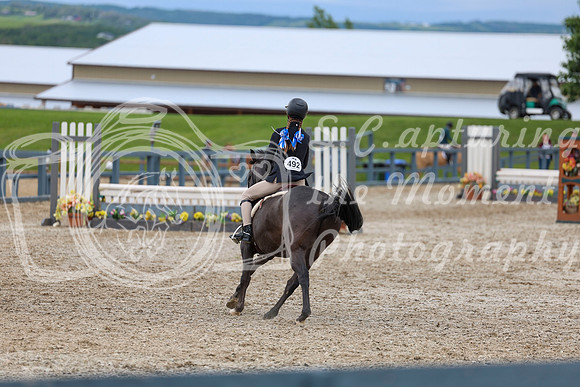 04486 - Shea - 2026 June Classic II - Thursday June 18th