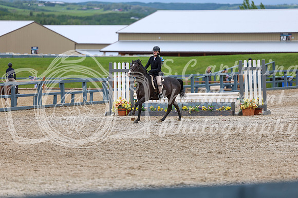 04553 - Shea - 2026 June Classic II - Thursday June 18th