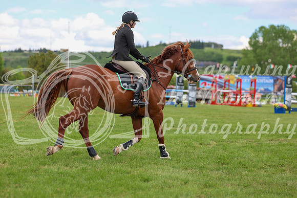 04733 - Shea - 2026 June Classic II - Thursday June 18th