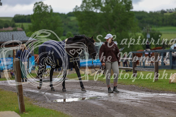 00015 - Shea - 2026 June Classic II - Thursday June 18th