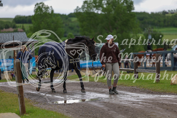 00014 - Shea - 2026 June Classic II - Thursday June 18th