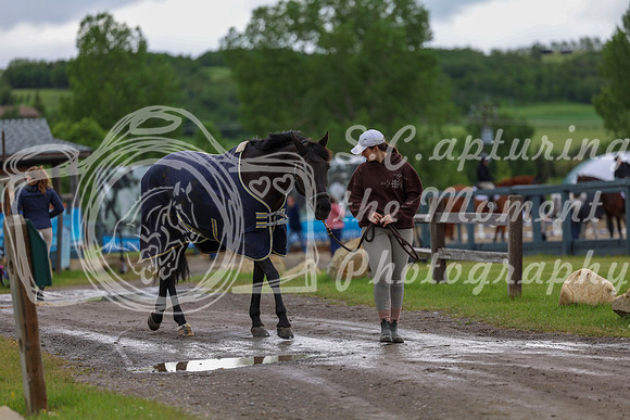 00017 - Shea - 2026 June Classic II - Thursday June 18th