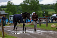 00016 - Shea - 2026 June Classic II - Thursday June 18th