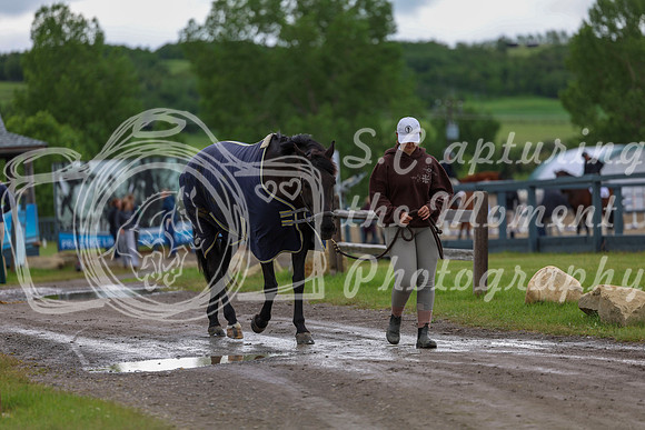 00018 - Shea - 2026 June Classic II - Thursday June 18th