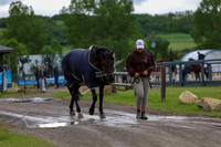 00020 - Shea - 2026 June Classic II - Thursday June 18th