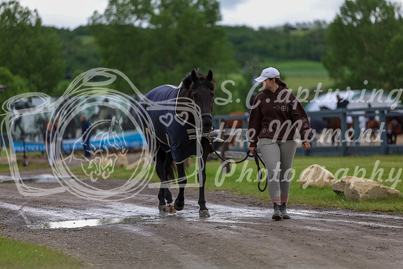 00021 - Shea - 2026 June Classic II - Thursday June 18th