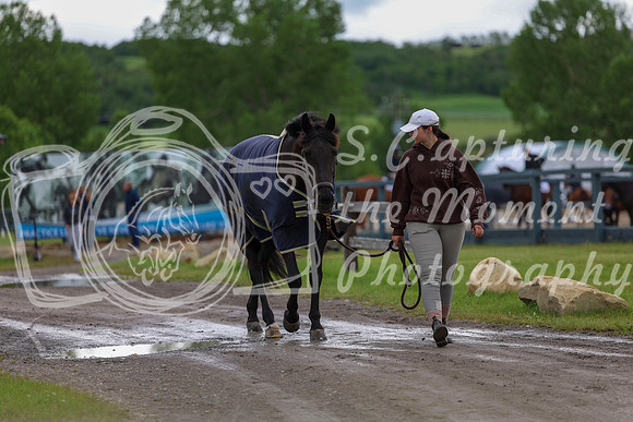 00024 - Shea - 2026 June Classic II - Thursday June 18th