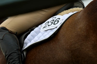 00051 - Shea - 2026 June Classic II - Thursday June 18th