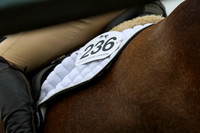 00050 - Shea - 2026 June Classic II - Thursday June 18th