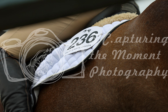 00050 - Shea - 2026 June Classic II - Thursday June 18th