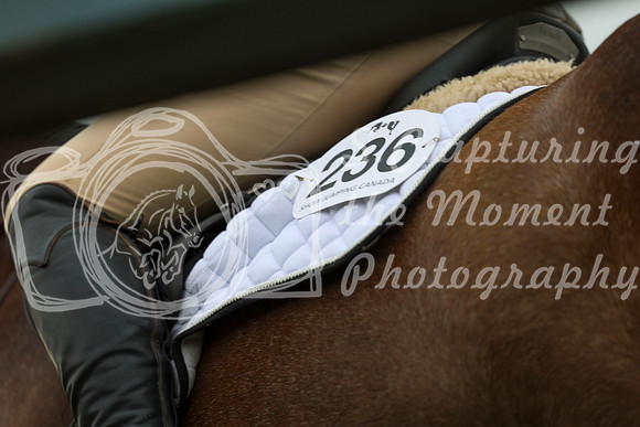 00052 - Shea - 2026 June Classic II - Thursday June 18th