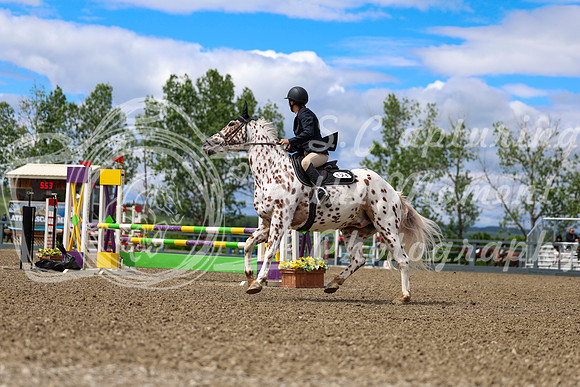 02113 - Shea - 2026 June Classic II - Thursday June 18th