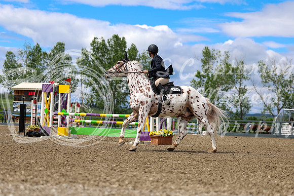 02114 - Shea - 2026 June Classic II - Thursday June 18th