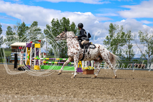 02115 - Shea - 2026 June Classic II - Thursday June 18th