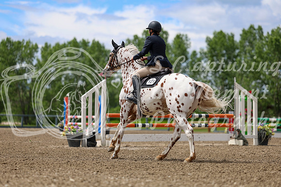 02117 - Shea - 2026 June Classic II - Thursday June 18th