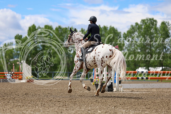 02118 - Shea - 2026 June Classic II - Thursday June 18th
