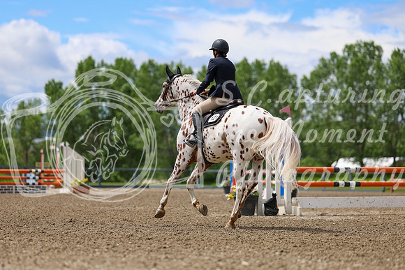 02119 - Shea - 2026 June Classic II - Thursday June 18th