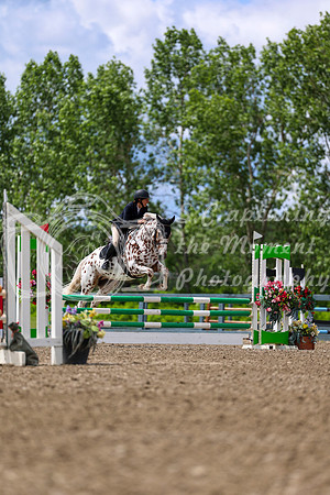 02122 - Shea - 2026 June Classic II - Thursday June 18th