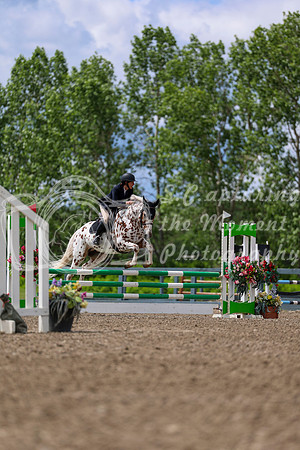 02123 - Shea - 2026 June Classic II - Thursday June 18th