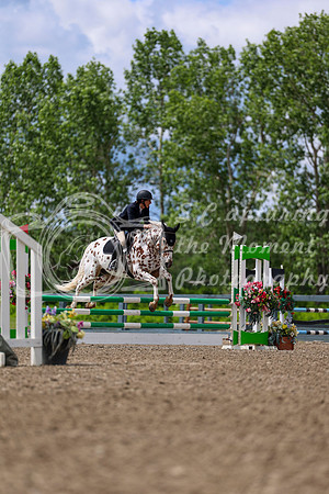 02125 - Shea - 2026 June Classic II - Thursday June 18th